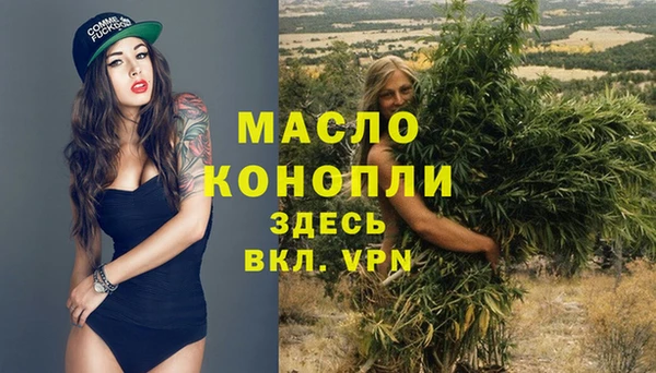 крисы Аркадак