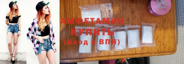 мет Алексин