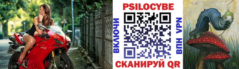 Псилоцибиновые грибы прущие грибы  купить наркотики цена  Бакал 